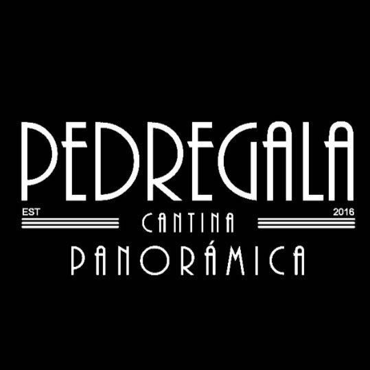 Pedregala San Ángel